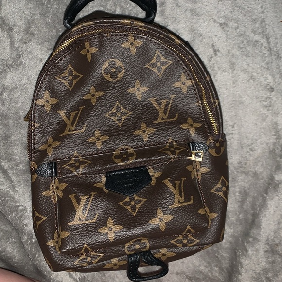 Louis Vuitton Palm Springs Mini Backpack - Picture 2 of 6